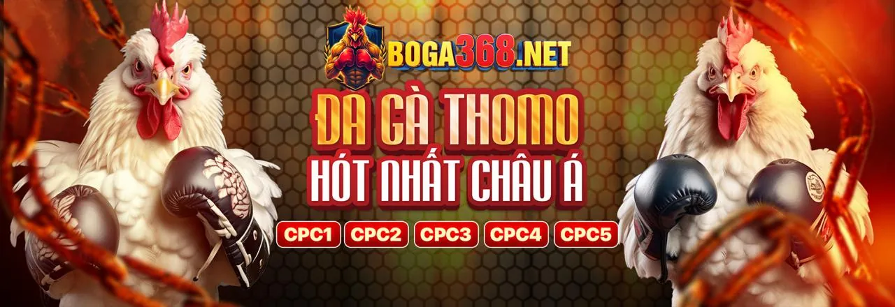 Hình ảnh minh họa câu hỏi thường gặp về khuyến mãi Baowin